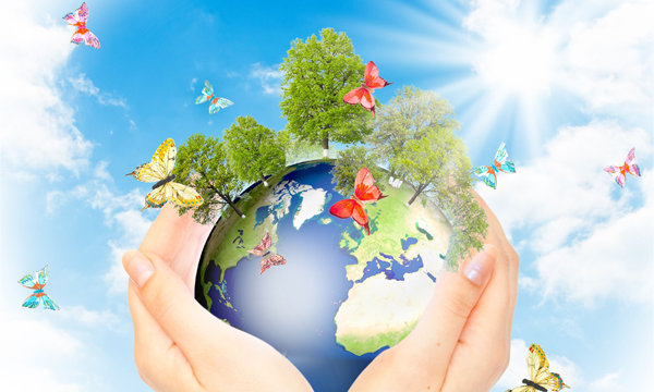 towards the environment3